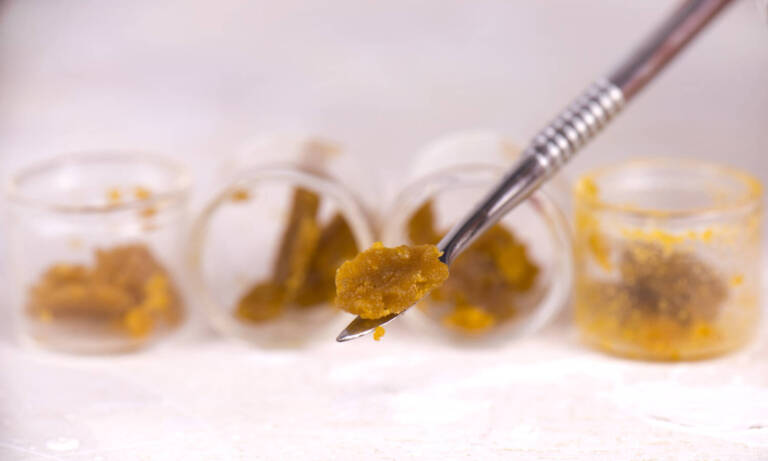 5 Great Concentrates For Beginners