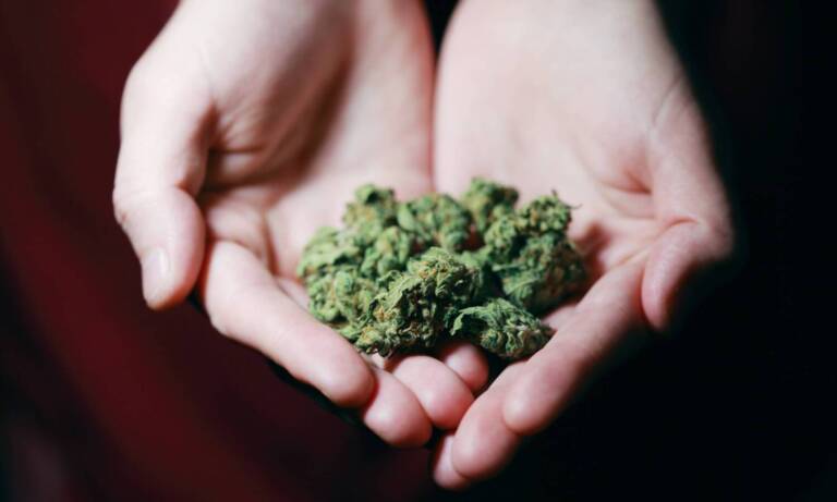 Cannabis ‘Gifting’ Ban Receives Criticism From Connecticut Residents