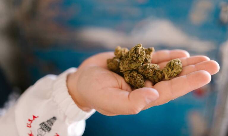 Pediatric Poisonings Rise With Growth Of Cannabis Sales In Massachusetts
