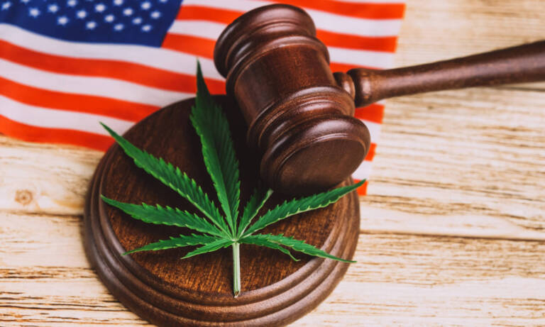 These Marijuana & Psychedelics Amendments Could Be Included In Next Defense Bill