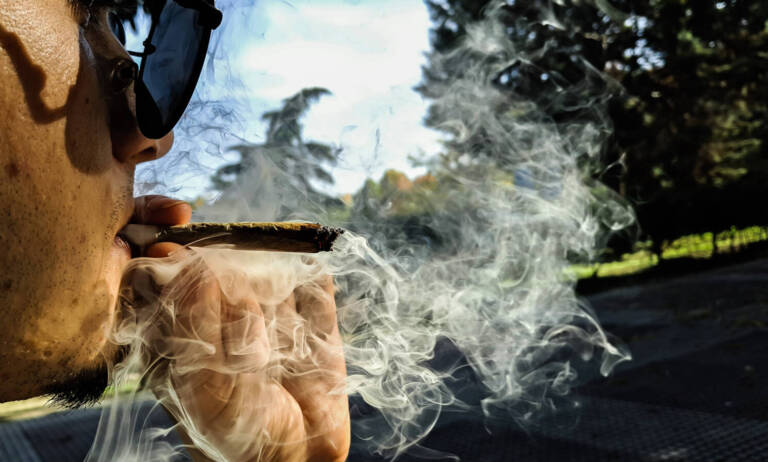 Can Cannabis Protect You From Cognitive Warfare?