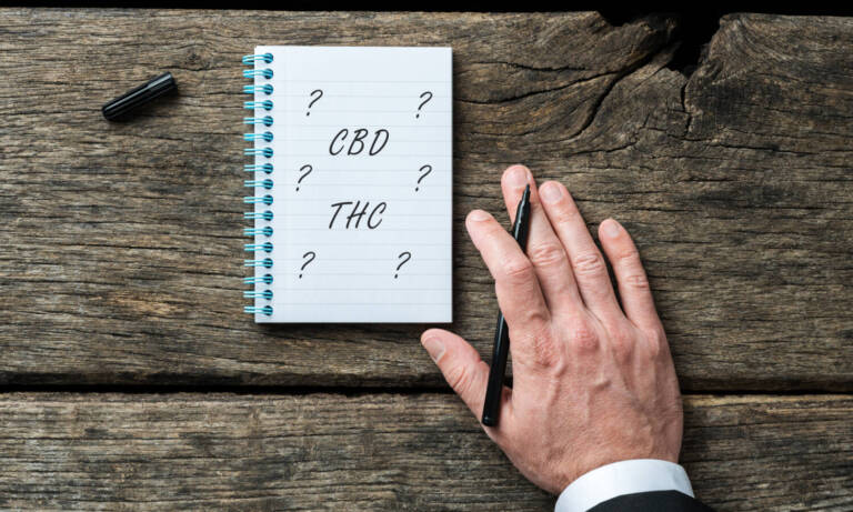THC Versus CBD — What’s The Difference, Exactly?