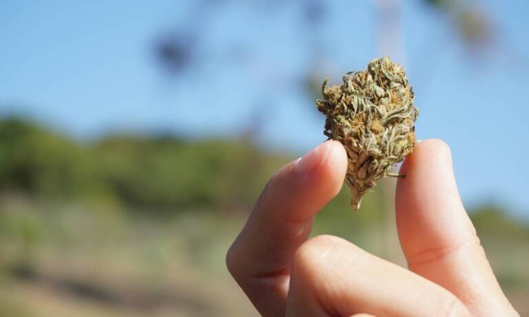 Here’s How Many Americans Want To See Marijuana Legalized, New Poll Reveals