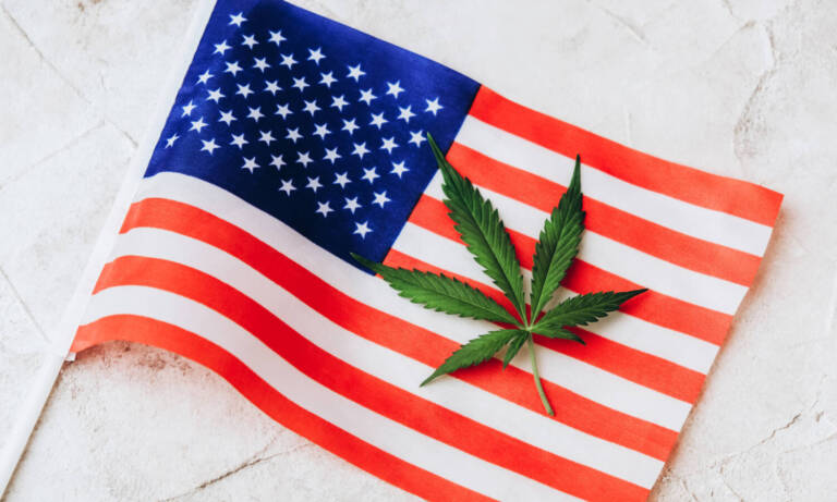 House Committee Approves Protections For State Marijuana Programs From Fed Interference