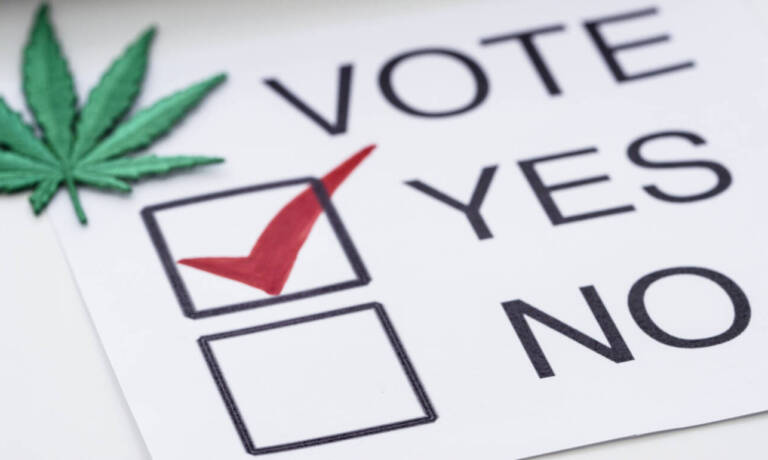 Industry Thought Leaders Weigh In On Midterm Marijuana Results