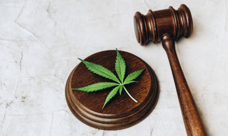 US House Approves Bill To End Federal Cannabis Prohibition: What Does This Mean?
