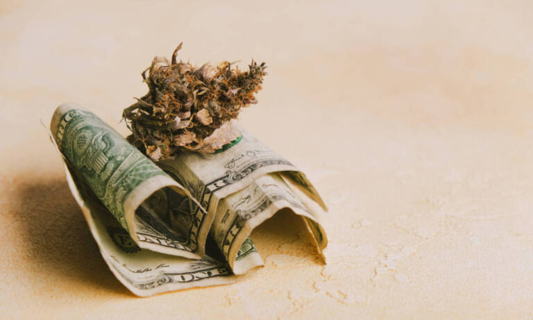 Does Cheap Weed Give You A Good High?