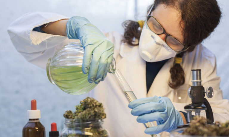 Researcher Engineers Cannabis Strain With 20% THC
