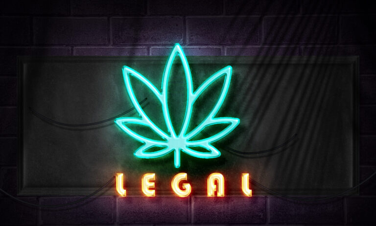Weed Pop-Ups Are Having A Moment Right Now