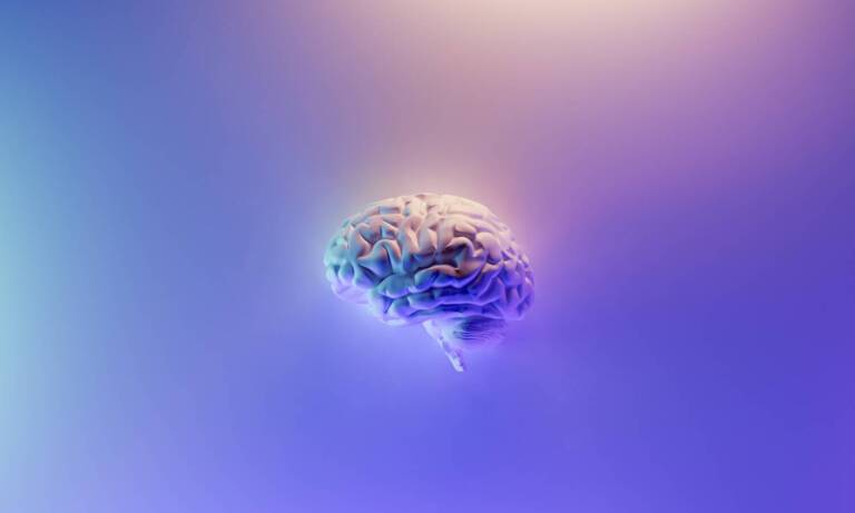 It’s Possible To ‘Factory Reset’ Your Brain To Get Rid Of Different Disorders, According To Study