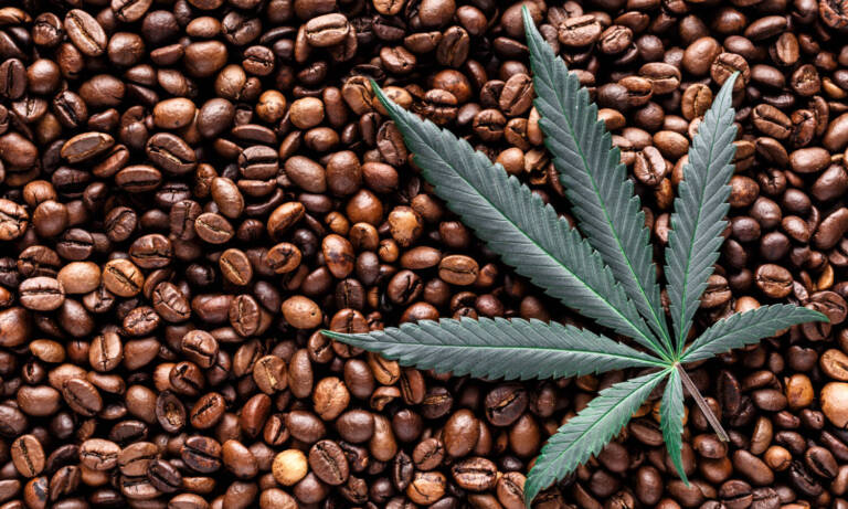 How Legal Marijuana Is Outselling Starbucks