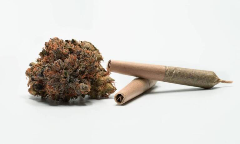 Don’t Shop By THC Levels: Here Are The Top 3 Cannabis Strains Based On Terpenes