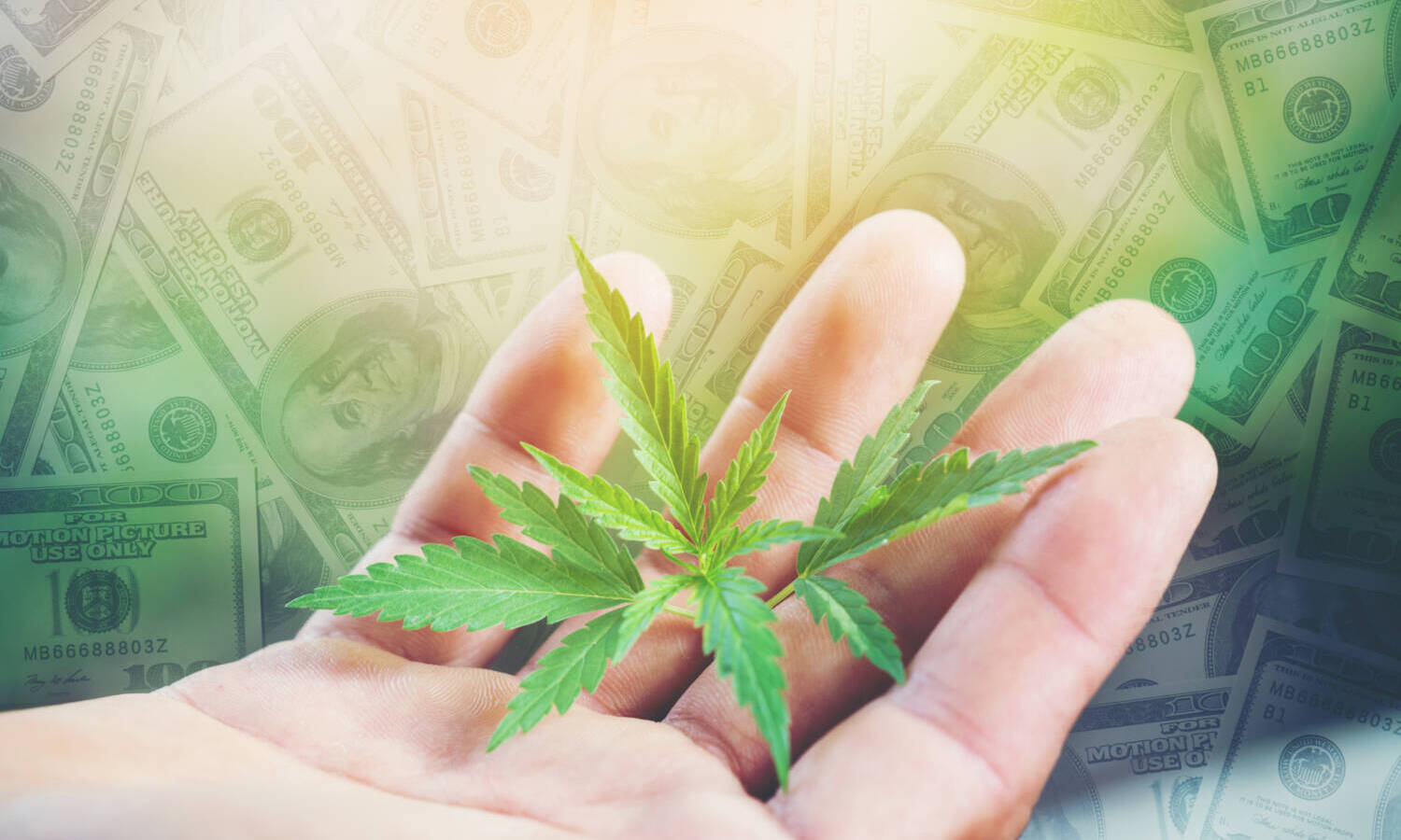 How Would The Marijuana Industry Handle A Possible Recession?