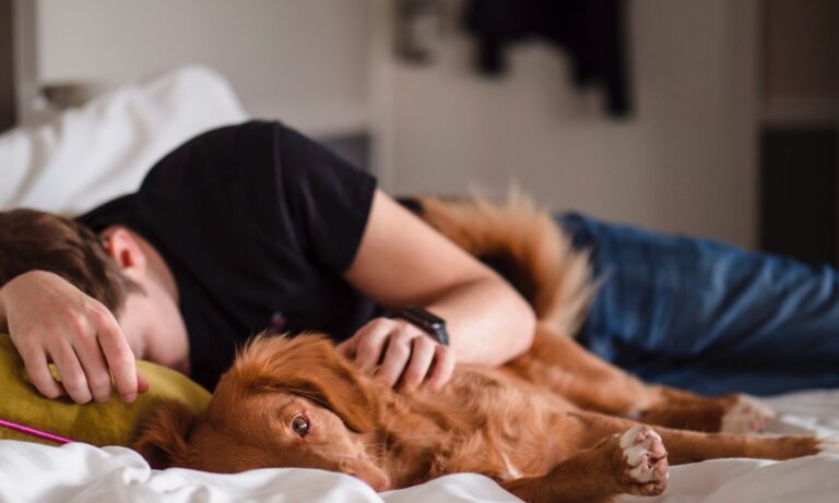 Feeling Sleepy After Smoking Weed? Here’s What To Do