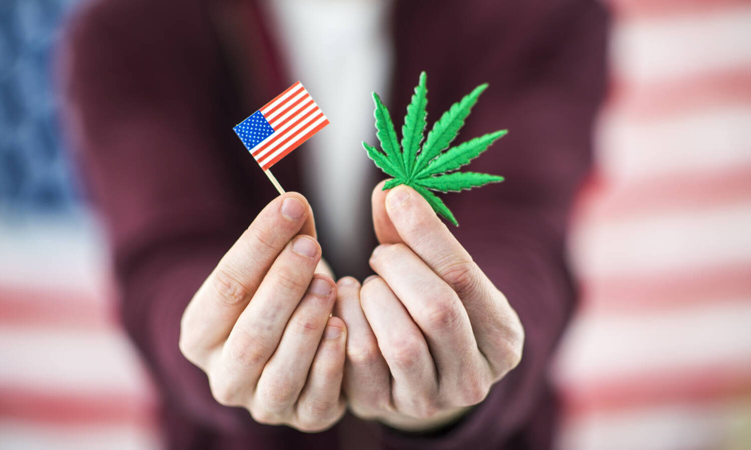 The Uncertain State Of Cannabis Rights For Native Americans