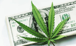 How Canada Became the World’s Cannabis Superpower