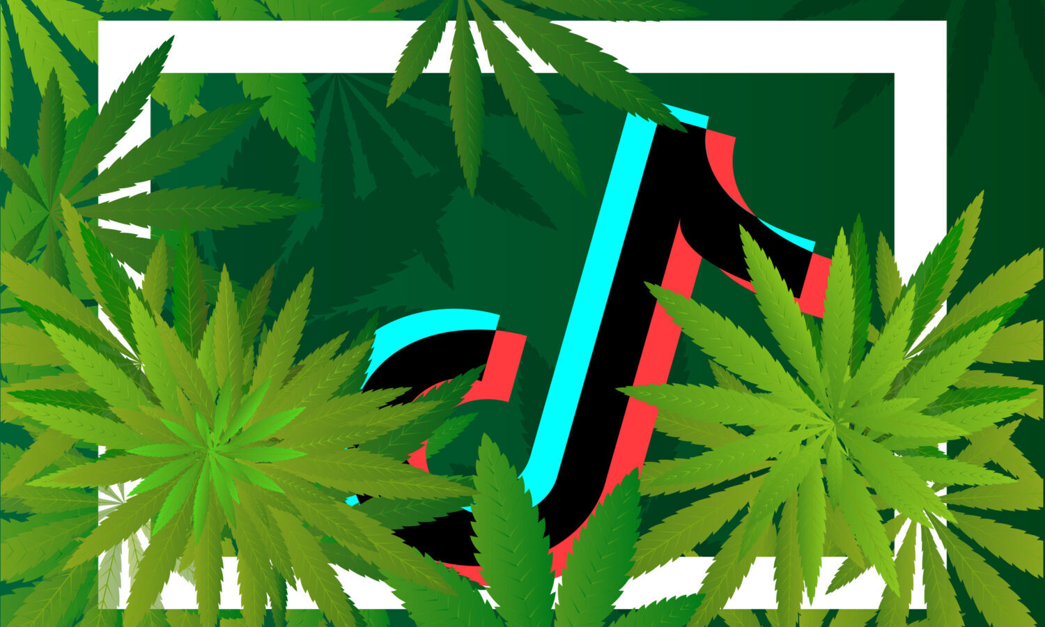 marijuana tiktok