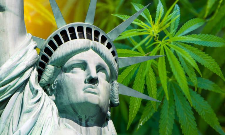 Finally New York Announces When Weed Sales Start