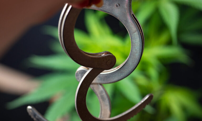 DEA Reports Uptick In Marijuana-Related Seizures & Arrests: Why Is This Happening? NORML Has An Idea