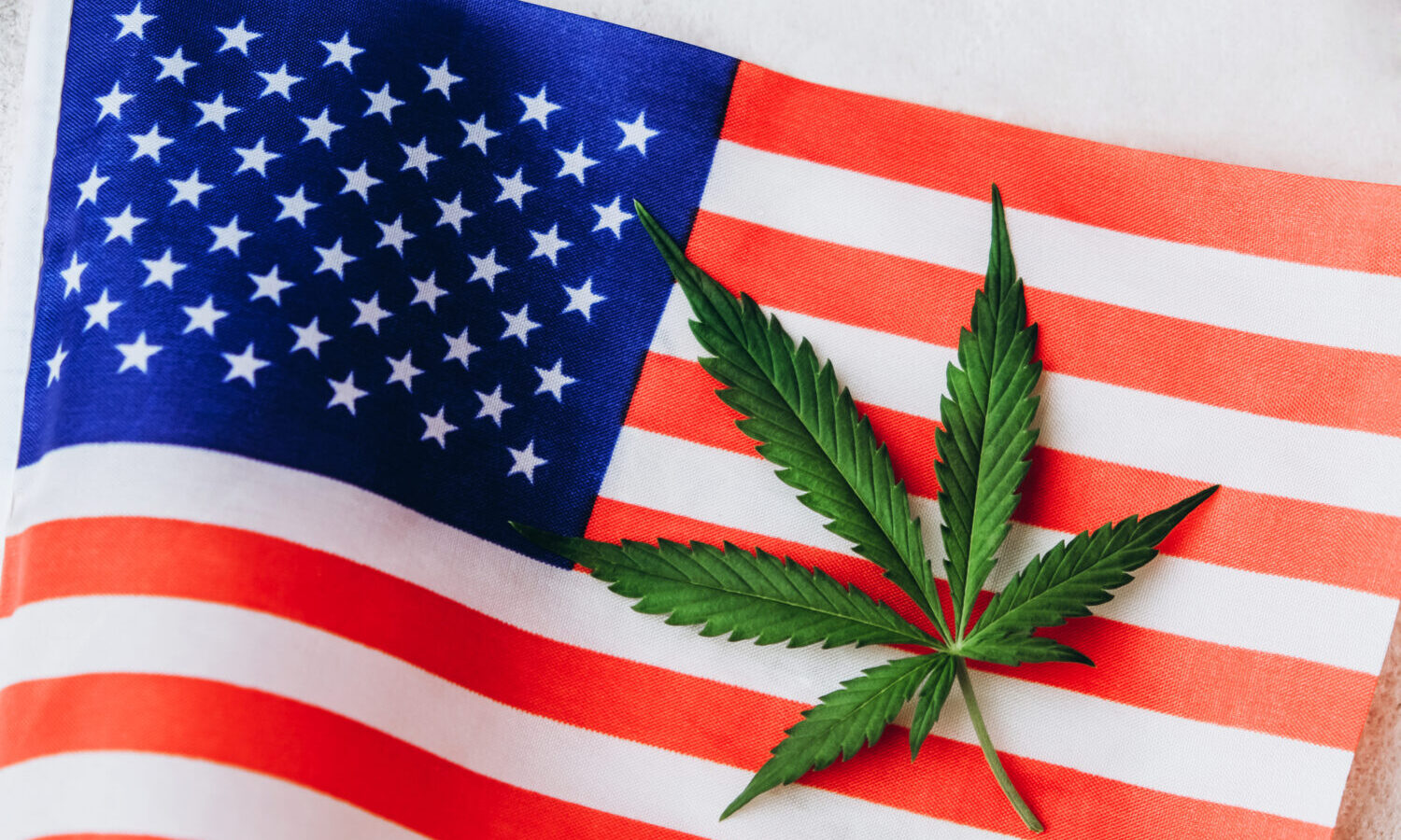 American flag marijuana