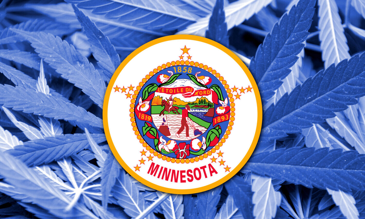 Minnesota state cannabis flag