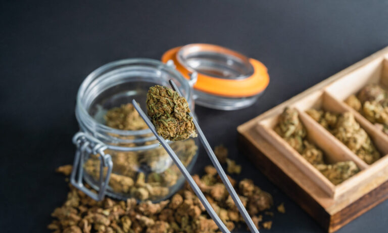 NY To Begin Accepting Cannabis Applications From People Harmed By War On Drugs