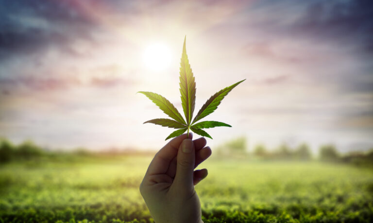 What Drought Could Mean For Legal Weed States Running Out Of Water