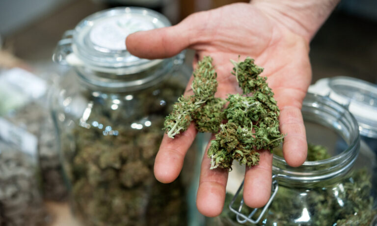 Why Are Marijuana Companies Laying Off Workers As Industry Grows