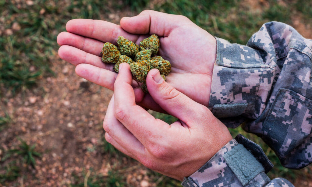 Senators Introduce Amendments For Legalizing Medical Cannabis For Veterans