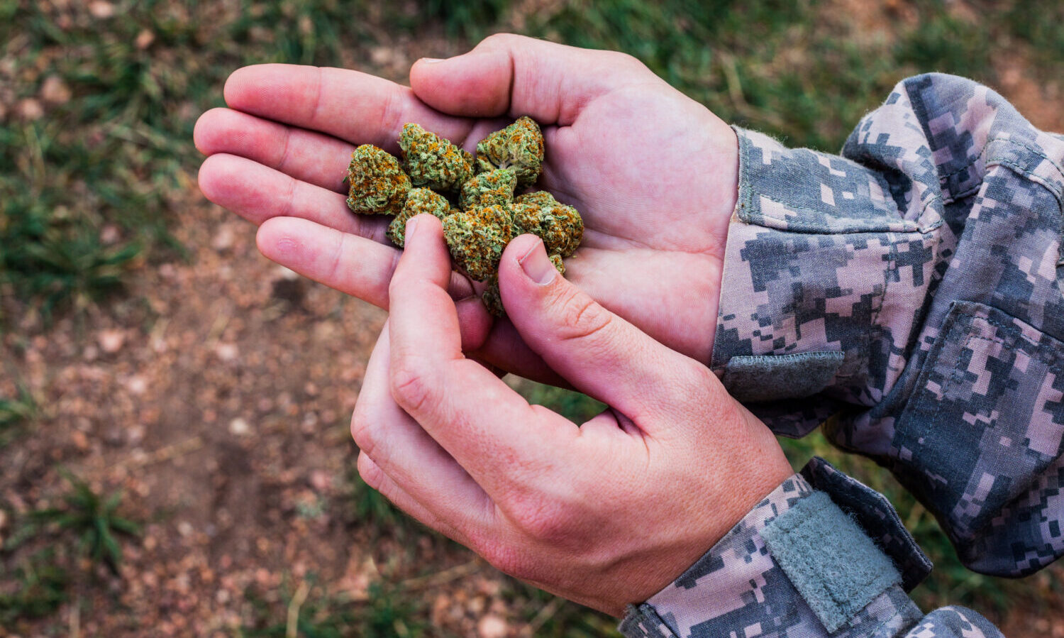military marijuana