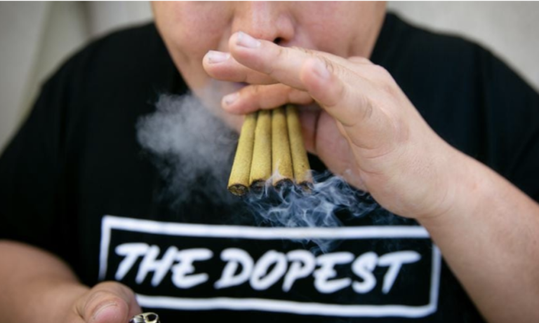 Is This Guy The Most Popular Cannabis Content Creator In The World?