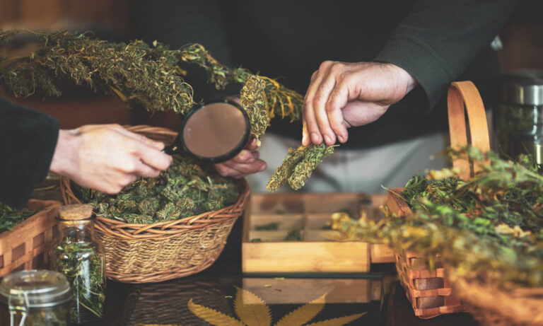 Here’s How Many Cannabis Licenses New York Will Initially Award