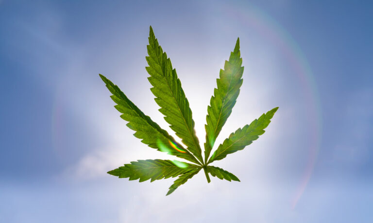 How Would The Cannabis Administration Act Work?