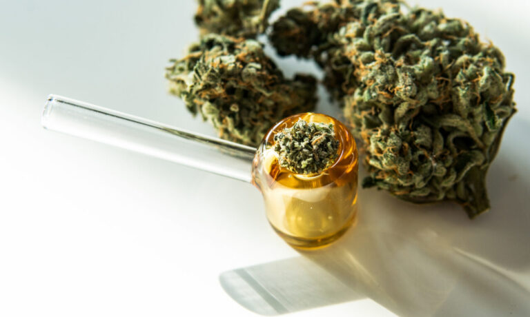 How Your Endocannabinoid System Affects Your Cannabis Experience