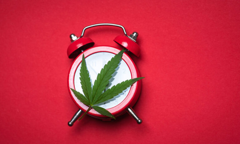 Does Consuming Cannabis Break Your Fast?