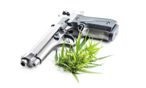 cannabis gun