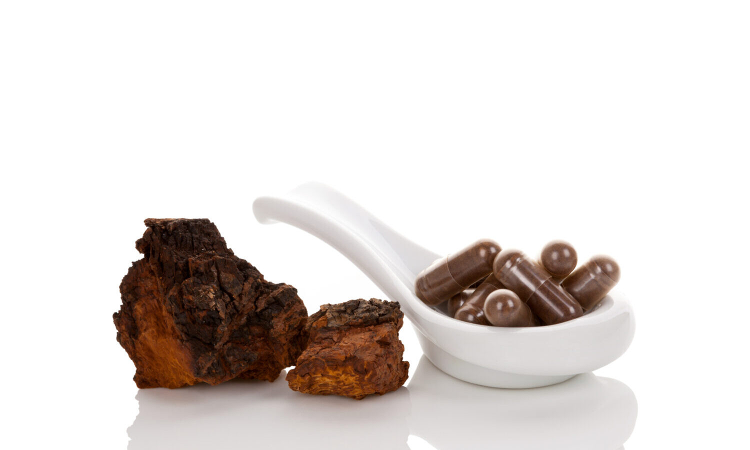 chaga mushrooms