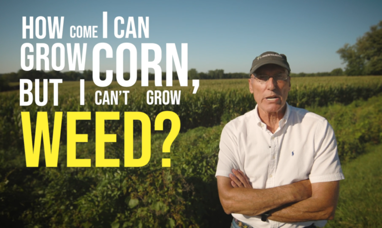 Libertarian Candidate Blasts Iowa’s Governor For Staunch & Racist Weed Policies