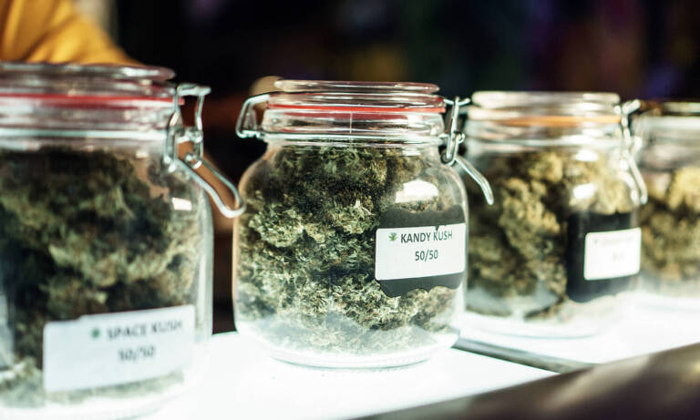 What Will New York Do If Dispensaries Do Not Open In Time?