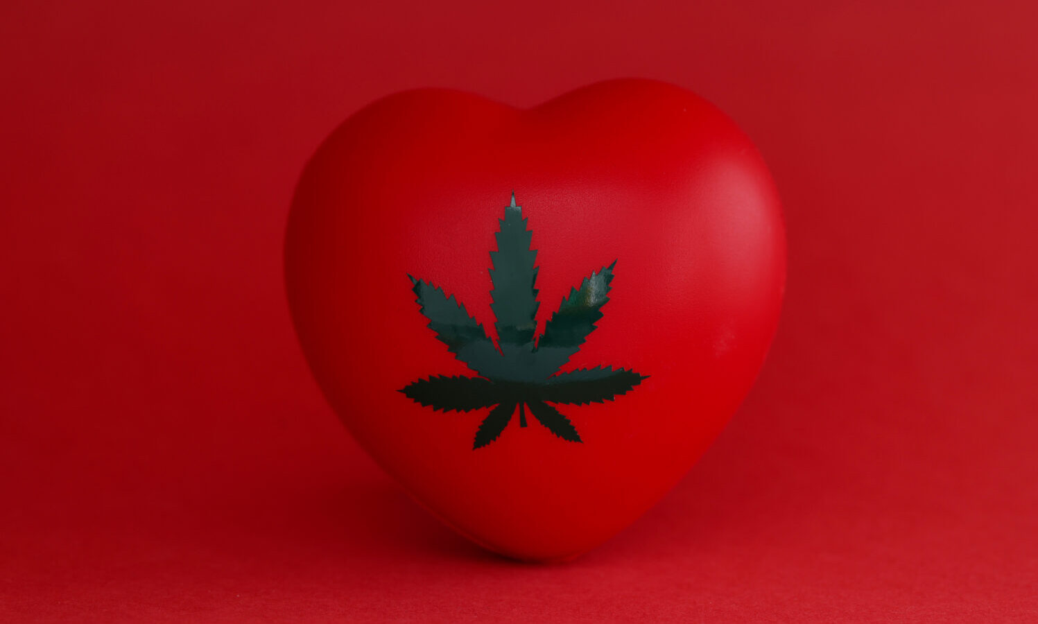 heart cannabis