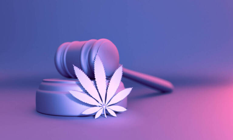 Politicians Might Want To Get With The Program ASAP As Support For Legal Weed Skyrockets