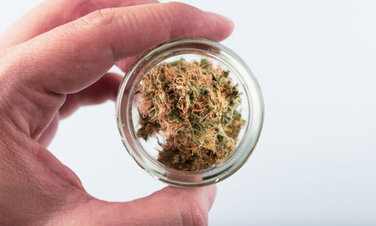 How To Rehydrate Weed