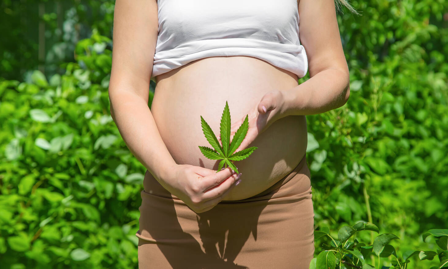 marijuana pregnant