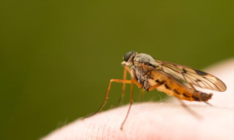 Are You A Mosquito Magnet? This Might Explain Why
