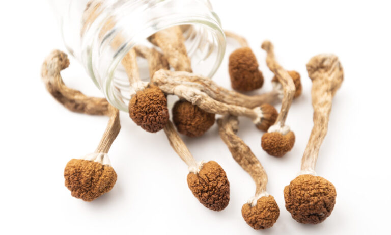 What Happens When You Smoke Magic Mushrooms