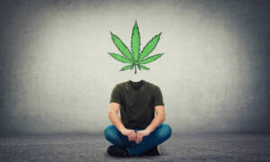 What Is The Cannabis HHC