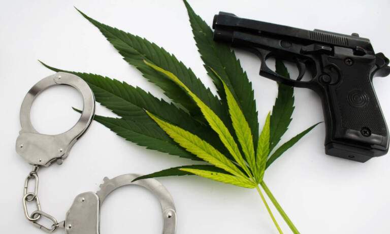 MMJ Patients Don’t Have Gun Rights: Federal Court Rules On Nikki Fried’s Second Amendment Lawsuit