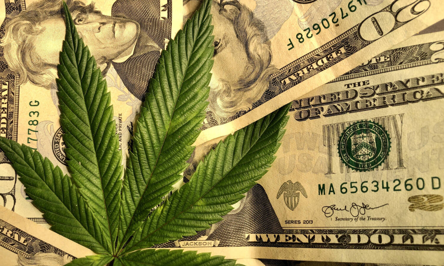 marijuana money