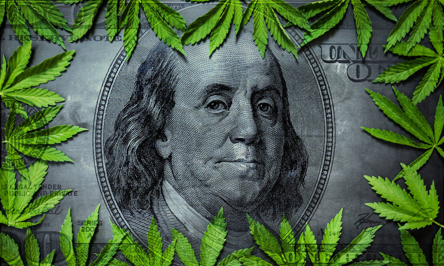 cannabis money