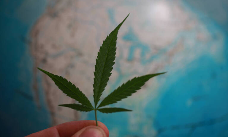 International Cannabis Reform Ramps Up In Europe, South America